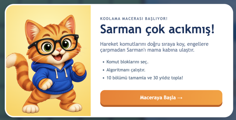Kodlambaç: Sarman ile Kodlama Saati